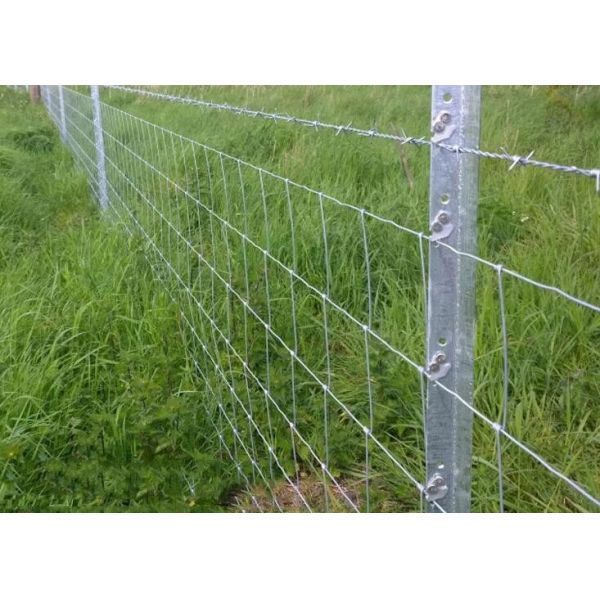Quality Heavy Duty Livestock Prevent Cattle Proof Fencing Hinge Joint wholesale