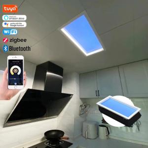 Ceiling Mounted Led Flat Panel Night Light With Dali Support And Mounted Way