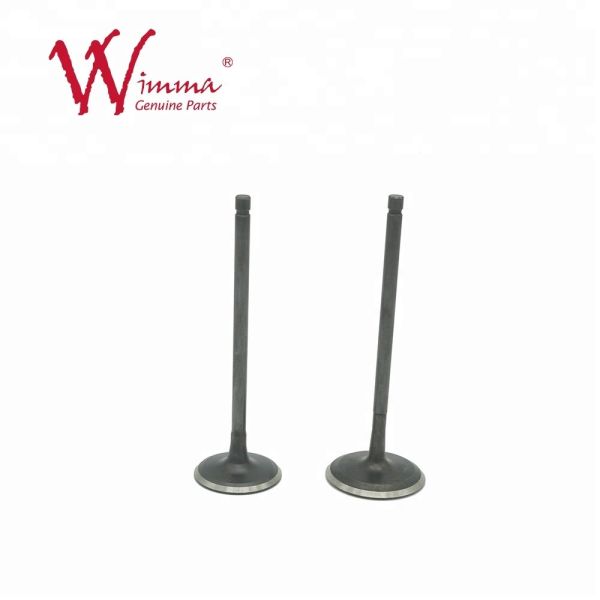 Quality Custom Motorcycle Engine Valve Rod , P200 Two Wheeler Engine Valve wholesale