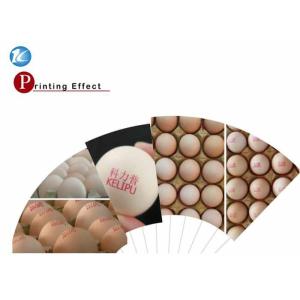 Touch Screen Egg Code Printing Machine / Ink Jet Printer u Disk Loading