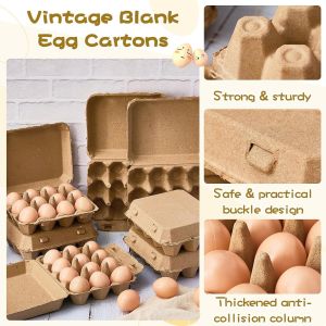 biodegradable sustainable Paper Pulp Egg Cartons 3x4 Style Vintage Blank Egg