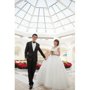 PLASTIC LENTICULAR Custom 3d Lenticular Photo Poster High definition pp pet ps