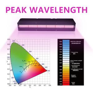 Water Cooling UV LED Curing System Lamp 395nm For Printer Retrofit