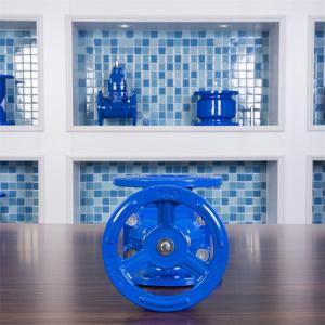 Cheap Ductile Iron Elastic Seat Gate Valve Handwheel PN16 PN10 QT450 German Standard for sale