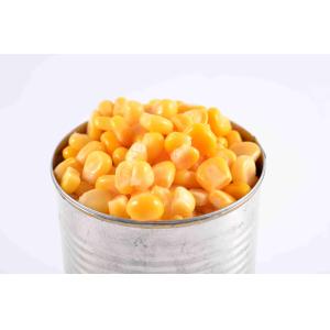 Golden Yellow Canned Sweet Corn Kernel With Easy Open Lid HACCP Approved