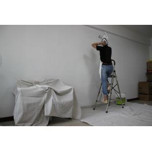 Cheap Lightweight Canvas Drop Cloth With Grommets , Carded Yarn Heavy Duty Drop Cloth for sale