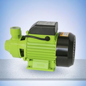 Cheap Cast Iron Head 60L/Min 1HP Peripheral Pump，The max head and flow support highly efficient work for sale