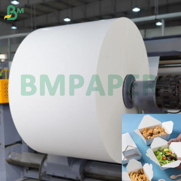 Quality 270g+ 15g 1S PE White Lunch Paper Board For Take Away Boxes Food Grade 900mm wholesale
