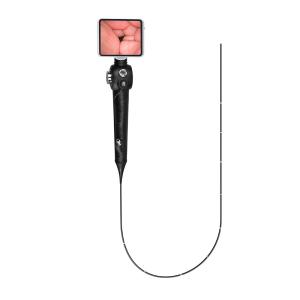 Cheap Portable Flexible Endoscope Video Camera For Small Animal Gastroscope And Colonoscope for sale