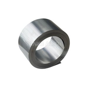 Evanohm / Karma / Nickel Chromium / Pure Nickel / Constantan Foil 0.008mm Fine
