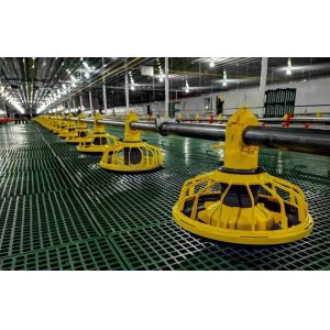 New Poultry Farm Drinking System Caged Chicken House Watering Systems