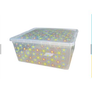 Eco-Friendly Disposable Plastic Containers , Practical Plastic Shoe Storage