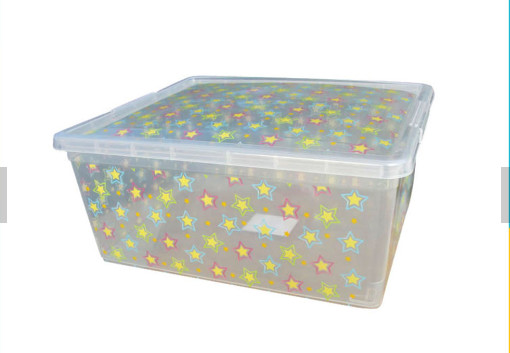 Eco-Friendly Disposable Plastic Containers , Practical Plastic Shoe Storage