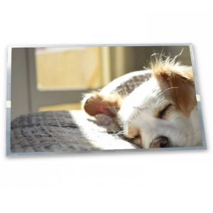 A-Si TFT-LCD 8 Inch 800(RGB)*480 Industrial Control Screen TX20D17VM2BBA Quality