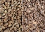 GELGOOG Machinery Palm Nut Shelling Machine Apricot Kernel Cracker Sheller