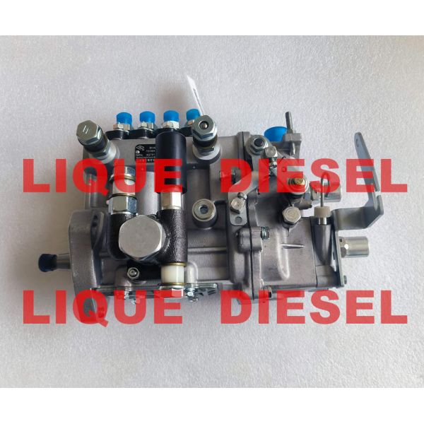 Quality Diesel Pump BH4QT95R9 kangda pump wholesale