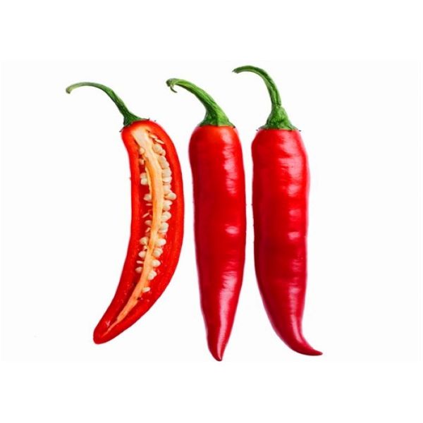 SHU5000 Dried Chilli Seeds Hybrid Granule For Cooking Pungent Flavor