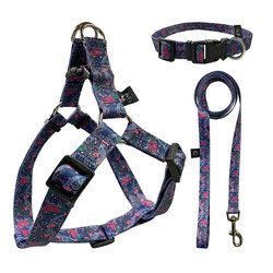 5kg Dog Harness Set