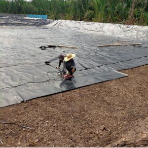 50m-100m/roll 1.0mm Pond Liner Geomembrane for Pool Project in Philippines