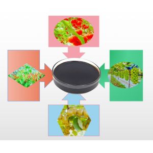 Crop Agriculture Enhanced Efficiency Fertilizers Water Insoluble