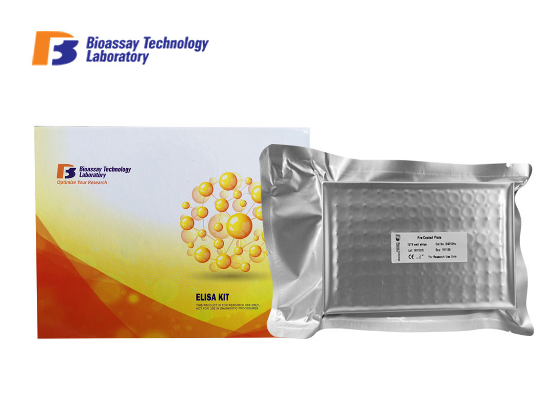 Cheap AFP Sandwich Mouse ELISA Kit With Standard Solution And Diluent for sale