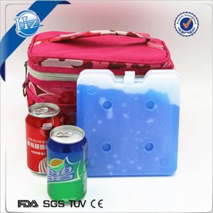 empty ice brick HDPE Gel Ice Bricks for Cooler Box Bag Reusable and Eco-friendly