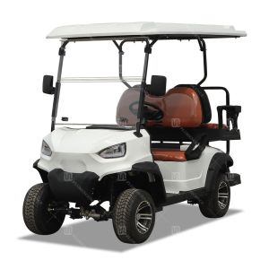 Electric 2 Seater Golf Cart NEA LSV Vehicle High Performance Lithium Battery ODM