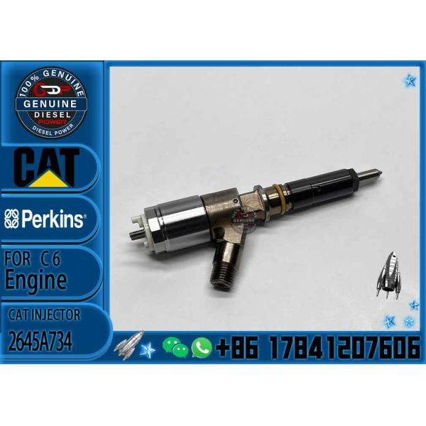Quality fuel injector 10R-7672 2645A718 10R-7673 10R-7676 2645A734  295-9130 382-0480 282-0490 292-3780 wholesale