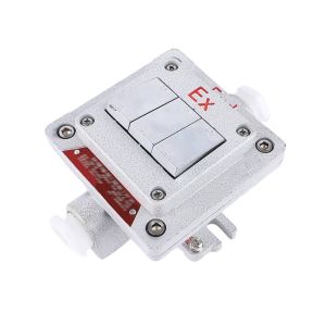 Flameproof Type Explosion-proof Wall Switch Surface-mounted Explosion-proof,