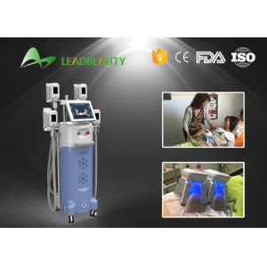 New!!! cryolipolysi slimming machine/freeze fat/cryotherapy cavitation slimming machine