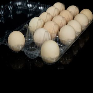 Transparent Plastic Egg Trays Egg Box Free Shipping Plastic Egg Tray with Handle