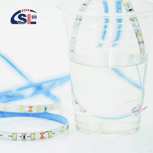 Waterproof 60Leds 120Leds 12v 24v 2835 Led Strip Light for Car Working