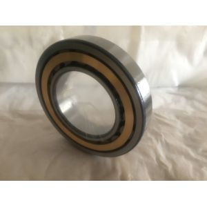 Cheap 50mm ID 80mm OD Radial Cylindrical Roller Bearing NJ1010 V2 V3 Vibration Level for sale
