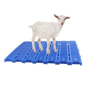 China 300kg Bearing Plastic Slatted Floor With High UV Resistance And Washable Cleaning on sale