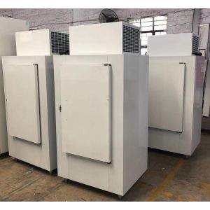 Cold Wall Bagged Ice Merchandiser for Outdoor Use