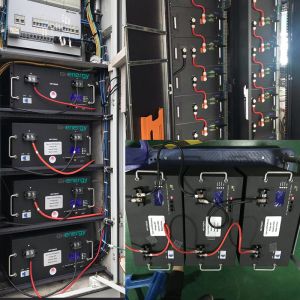 Multiscene E Bike LiFePO4 Lithium Battery Pack Ultraportable