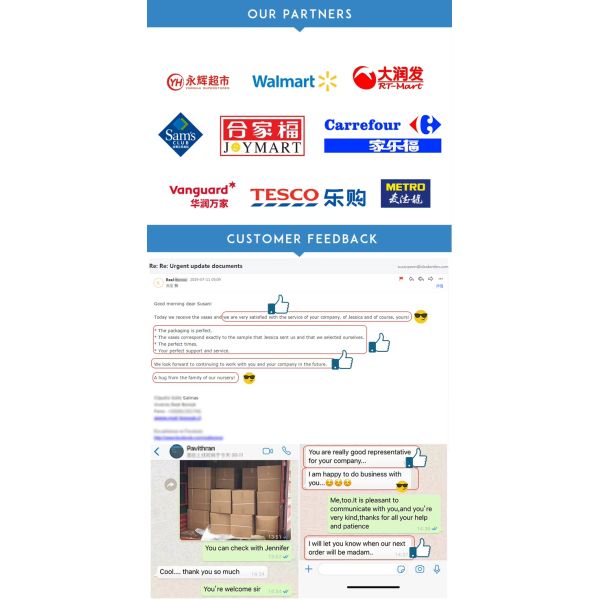 120Ml 250Ml 500Ml Empty Clear Glass Cosmetic Lotion Boston Round Spray Bottle