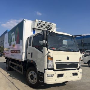 Cheap 10 Tons Carry Capacity LHD RHD HOWO Freezer Truck With 6m Box for sale