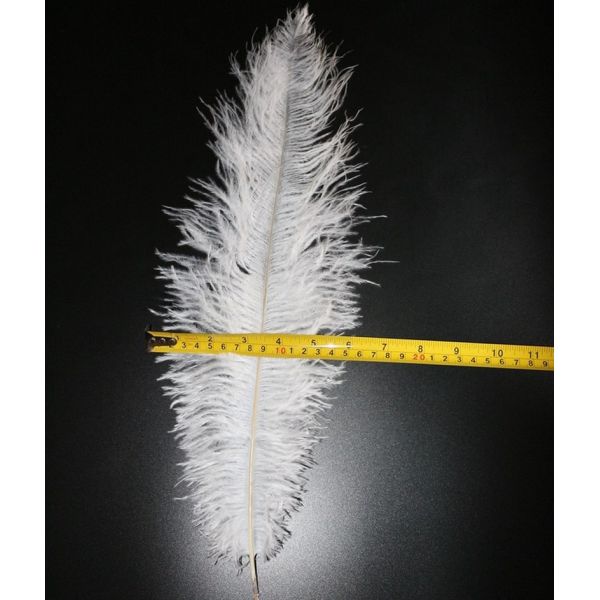 Hat Decoration Millinery Feather Small Ostrich Plumes Feather for Events