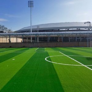 Premium 10000 Dtex Artificial Soccer Grass with 10-Year Warranty and 3/8 Inch