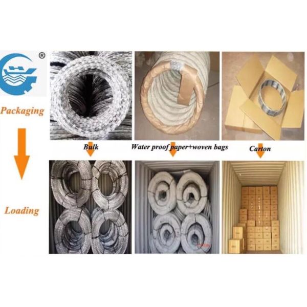 Hot Galvanized Razor Sharp Wire High Strength For Security Place BTO - 22