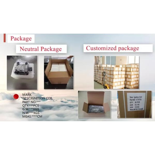 22448 1HM0A Nissan March Car Ignition Coil For K13 Sunny N17 Sylphy B17 Tiida C12