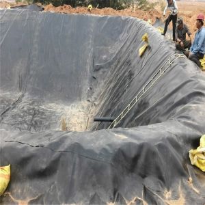 0.2mm HDPE Geomembrane Waterproof Tarpaulin Liners for Biofloc Fish Farming