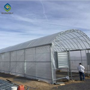 0.5KN/M2 Clear Polythene 4m Single Tunnel Greenhouse
