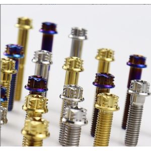 Titanium Alloy Micro Arc Anodizing Mao Self Drilling Self Tapping Screws