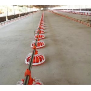 Automatic Chicken Poultry Equipment Chicken Feeding Line 50-100kg/H