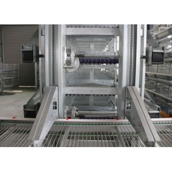 Quality Layer Industrial Chicken Coop Low Egg Broken Environmental Protection wholesale