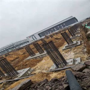 Prefabricated Ready Made Steel Structures Warehouse Building For Food Factory