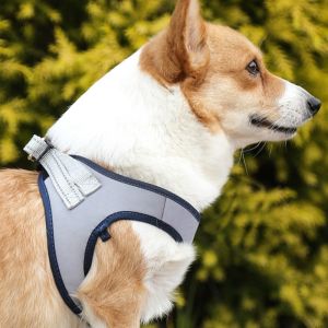 Pet Polyester Leash Breathable Mesh Harness For Dog Walking Small Dogs And Cats