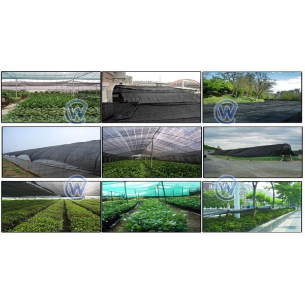 Hot selling 5 years HDPE Black Sun Shade Net with Good Quality 70%